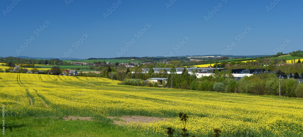 Yellow fields near Kdyne town