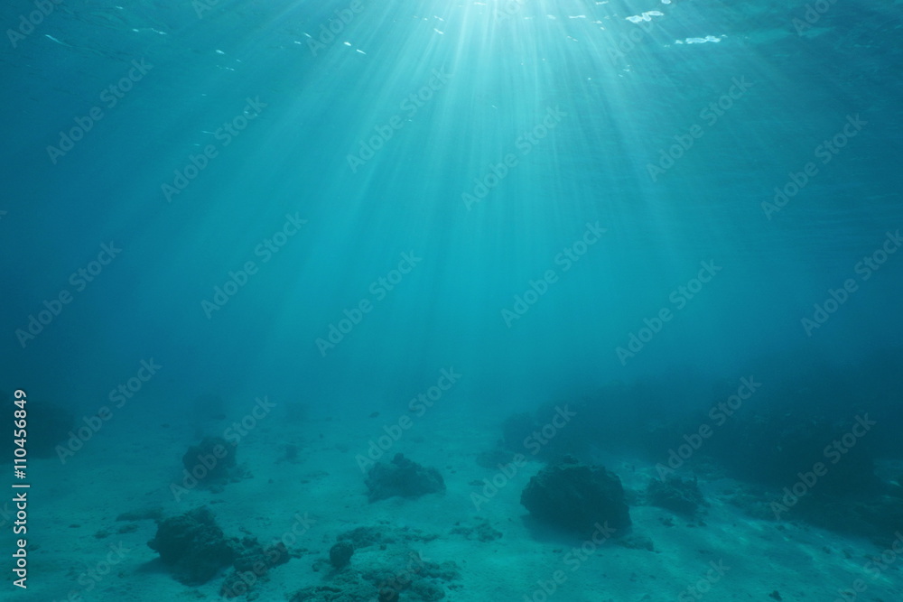 Ocean floor with sunlight through water surface, natural scene underwater, Pacific ocean, French Polynesia