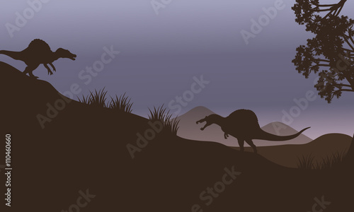 Silhouette of two spinosaurus in fields