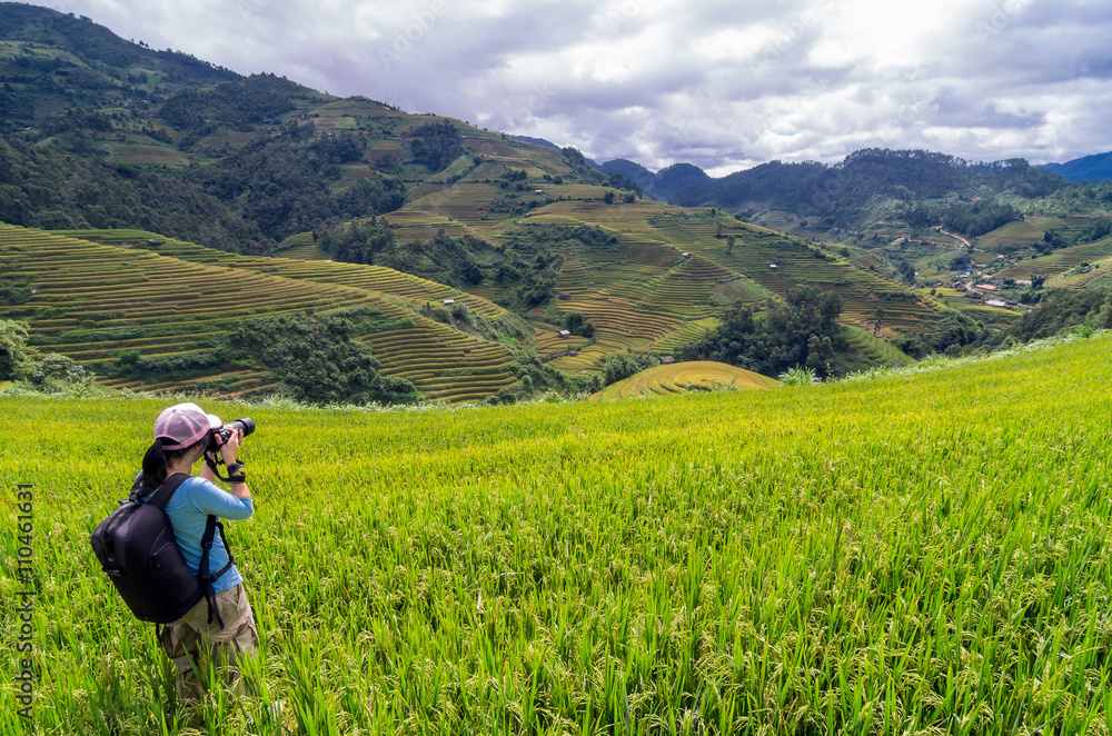 Photographer at Rice fields. Photographer at Rice fields.