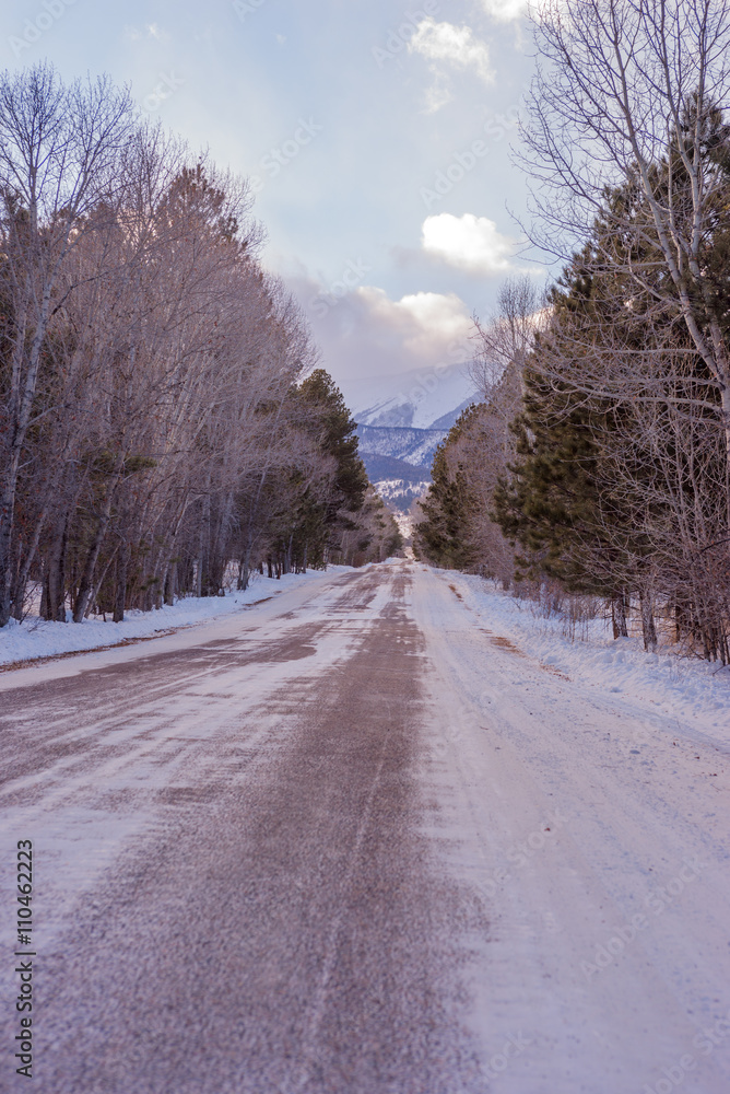 Long Snowy Road