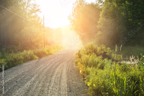 Landscape with roadway through the forest at sunset