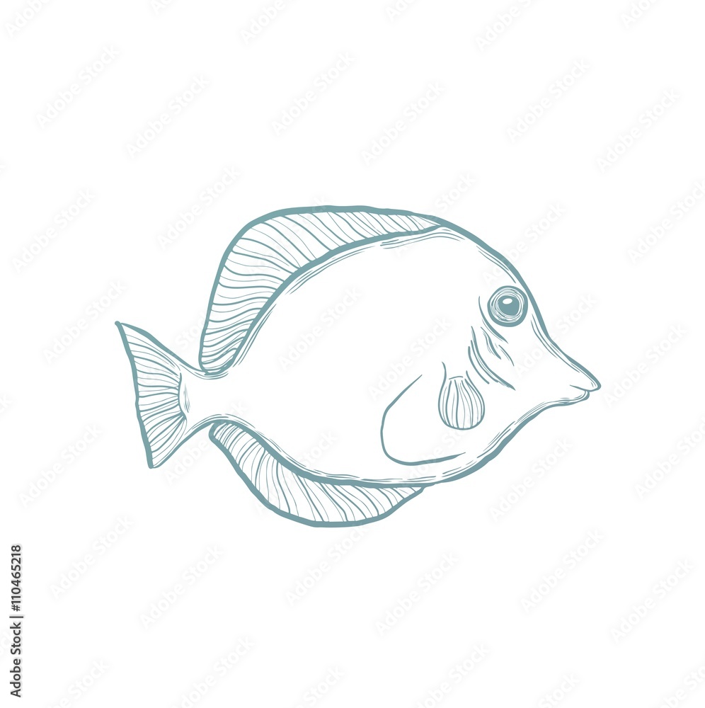 39 Best Fish Cartoon & Drawing ideas | cartoon fish, fish drawings, fish  cartoon drawing