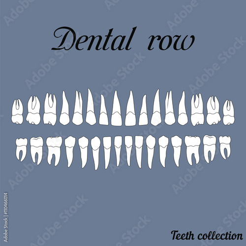 dental row