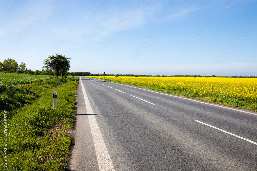 Road through the beautiful yellow field countryside landscape Road through the beautiful yellow field countryside landscape