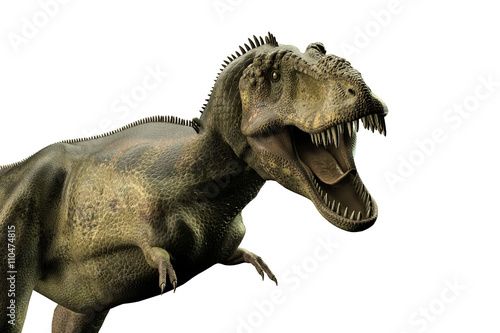 Tyrannosaurus rex © aleciccotelli
