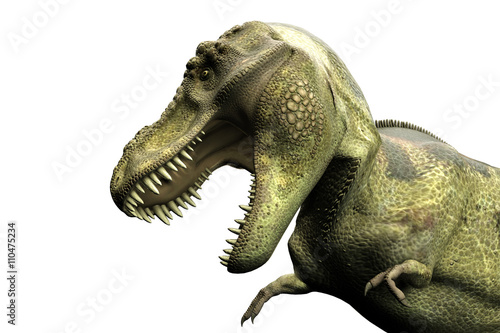 Tyrannosaurus rex © aleciccotelli