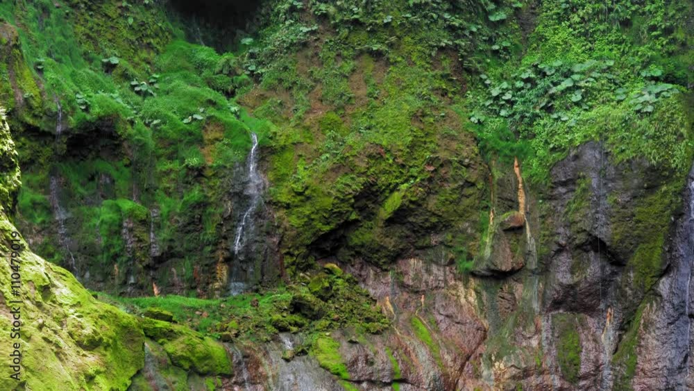 View of waterfall in forest; Costa Rica View of waterfall in forest; Costa Rica