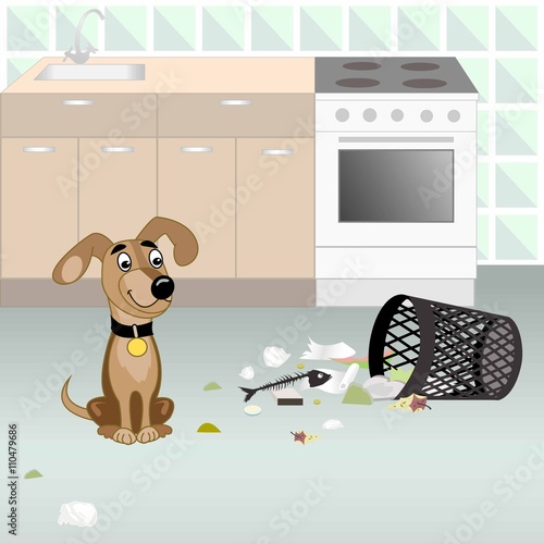 Dog looking for food