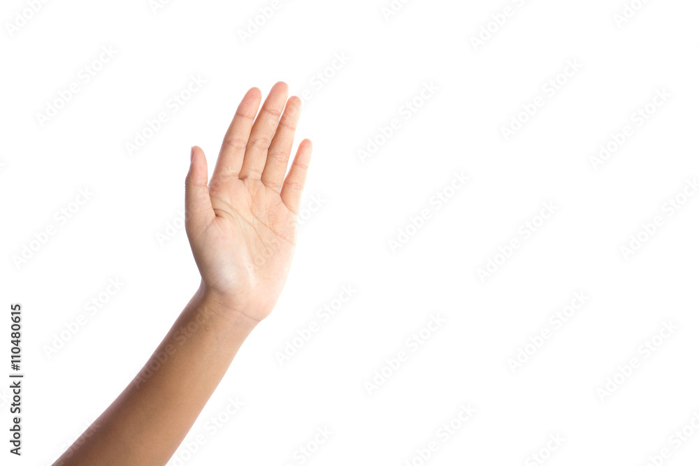 human open hand human open hand