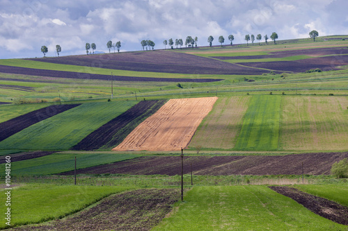 Spring fields in the transylvanian hills