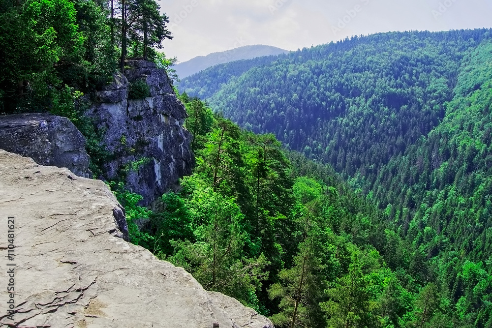Fototapeta premium View from cliff in Slovak Paradise