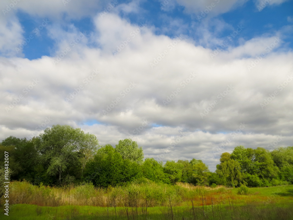 Obraz premium Landscape