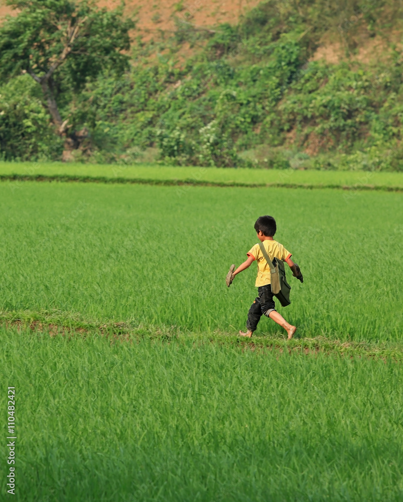Vietnamese boy running on a paddy field while going home after school. Vietnamese boy running on a paddy field while going home after school.