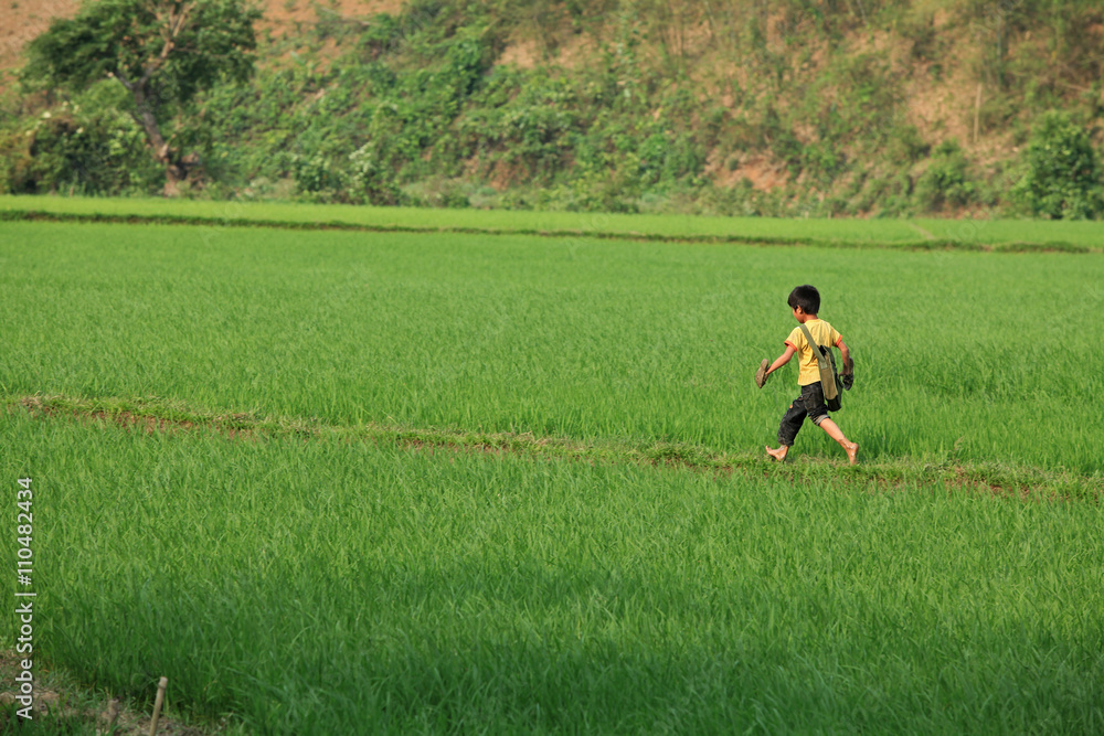 Vietnamese boy running on a paddy field while going home after school. Vietnamese boy running on a paddy field while going home after school.