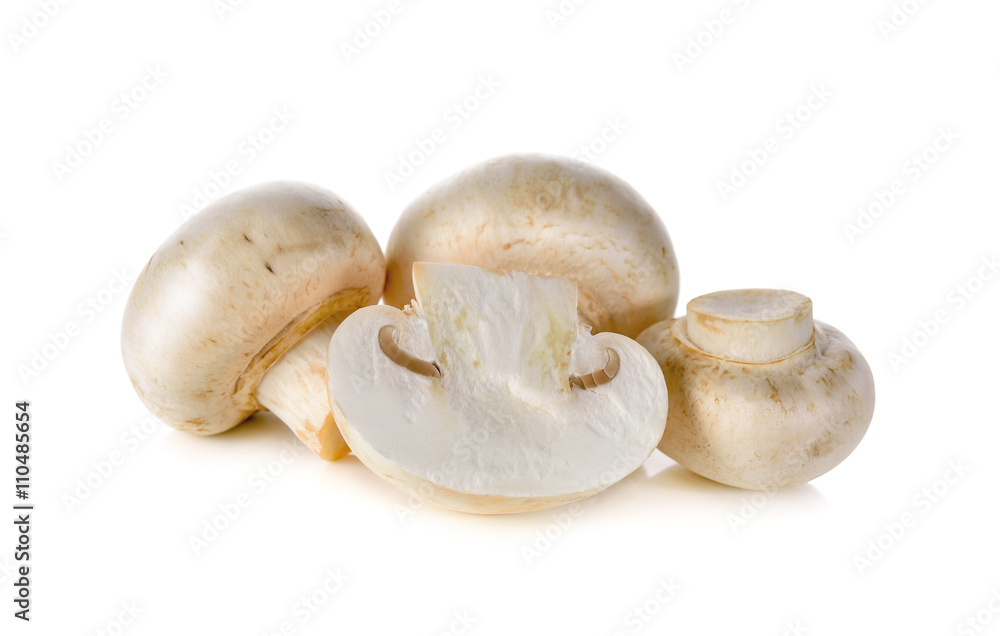 Champignon mushroom on white background Champignon mushroom on white background