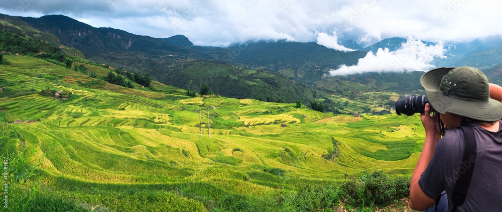 Naklejka premium Rice fields prepare the harvest at Northwest Vietnam.