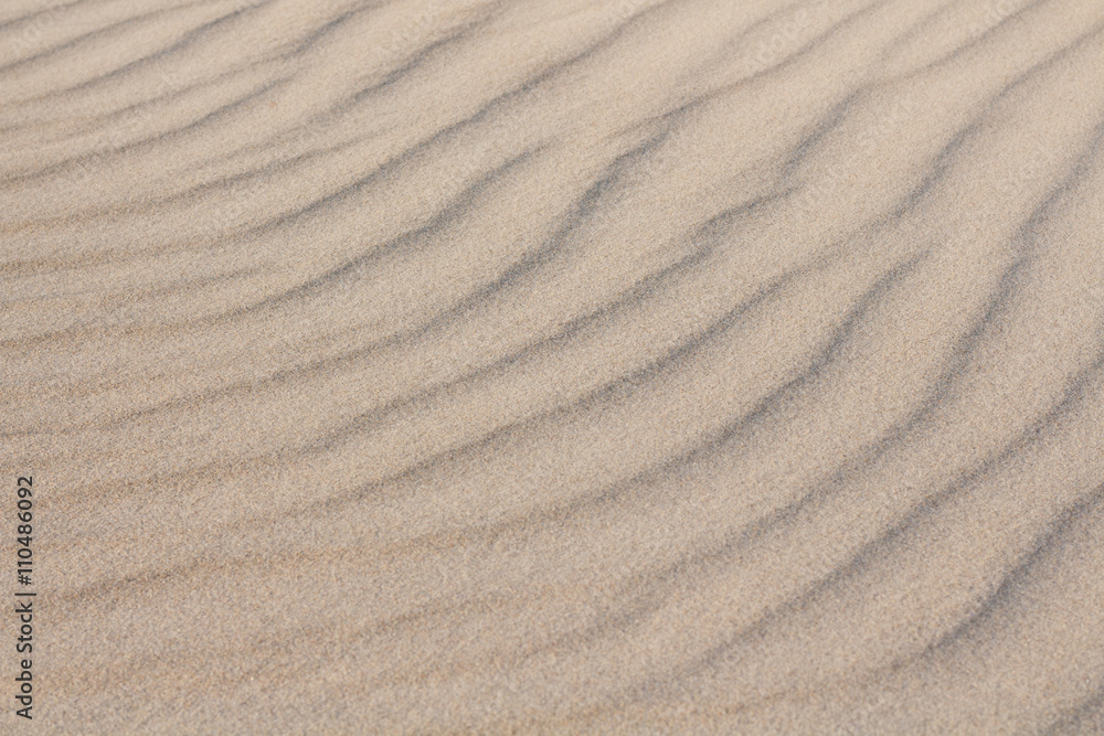 Obraz premium sand dune close up