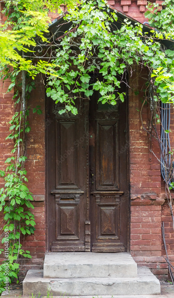 Vintage wooden door frame with vines and tree shade cover