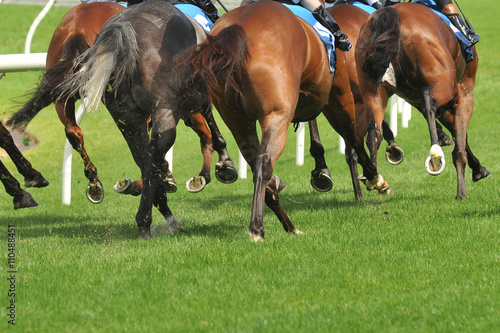 Horse racing action