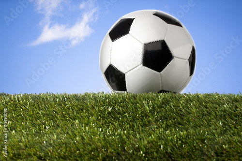 soccer ball on the field © Dan Kosmayer