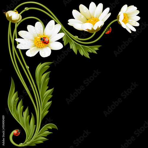 Fototapeta Naklejka Na Ścianę i Meble -  Vector corner pattern with daisies and ladybug