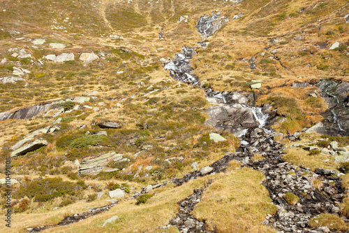 An alpine stream flows long the valley