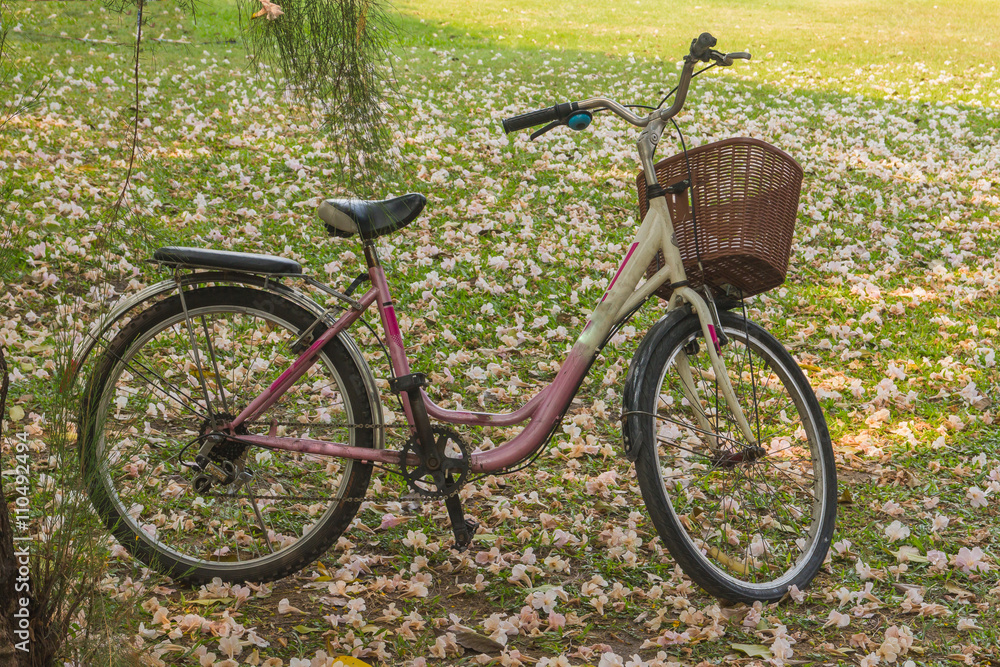 Fototapeta premium Bicycles parked in the park