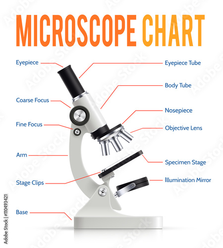 Realistic Microscope Parts  Infographic Presentation Chart 