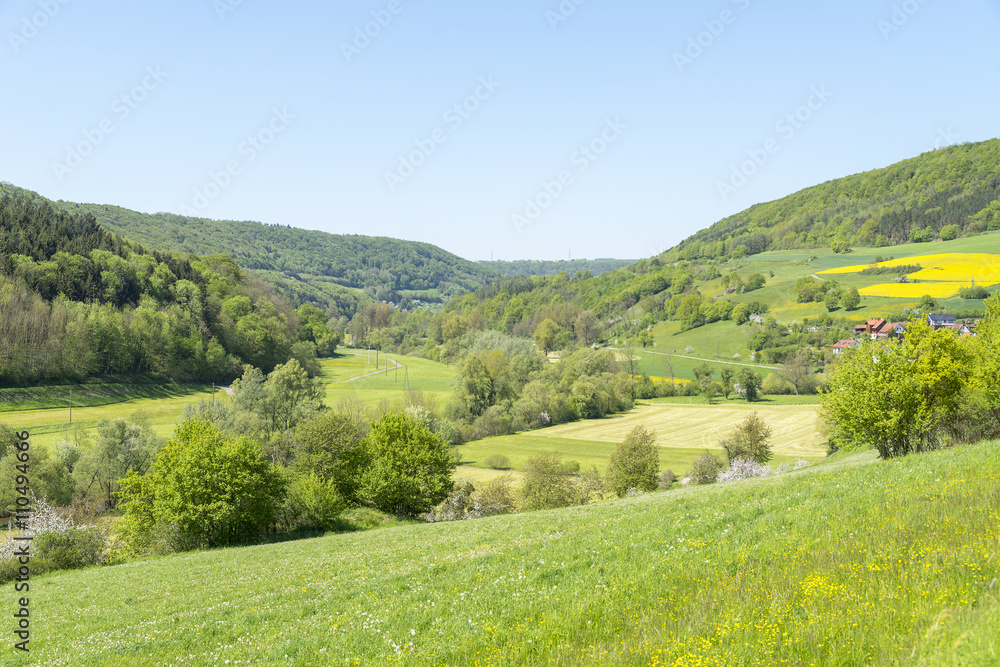 Fototapeta premium rural springtime scenery