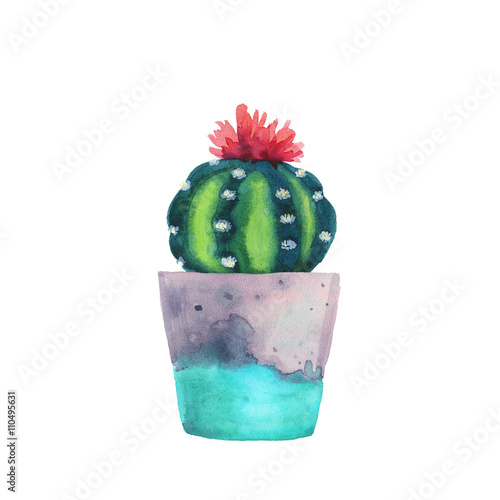 Watercolor succulent in a flowerpot. Isolated on a white background. Handdrawn green succulent in pot. Blossom watercolour cactus. Blooming cactus. Flower Illustration.