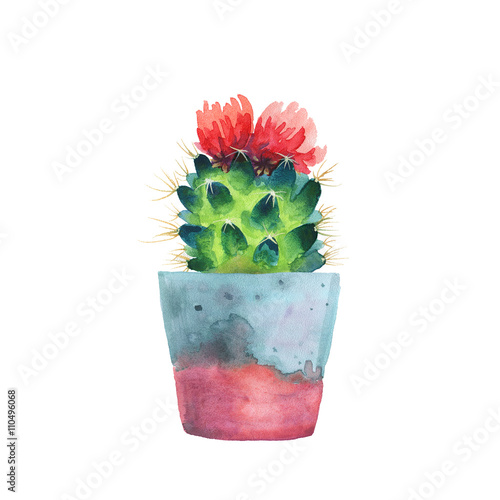 Watercolor succulent in a flowerpot. Isolated on a white background. Handdrawn green succulent in pot. Blossom watercolour cactus. Blooming cactus. Flower Illustration.