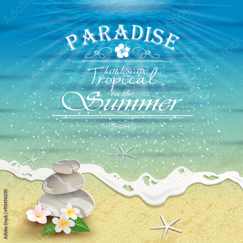 Beach with Stones and Flowers