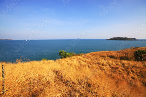 Wheat field and blue sky Wheat field and blue sky with clouds at shore line close to Andaman Ocean, Thailand