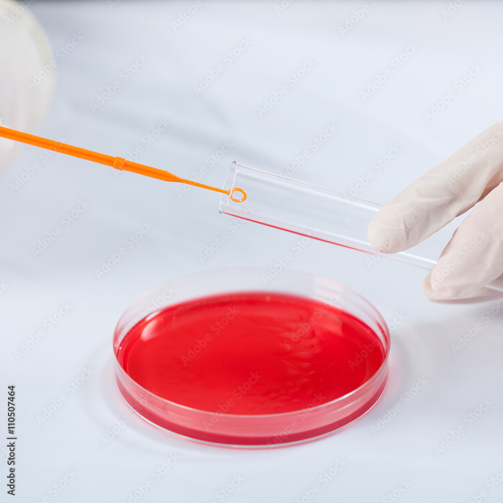 Experimenting in a laboratory Experimenting in a laboratory