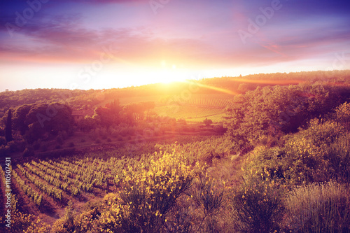 tuscany landscape 