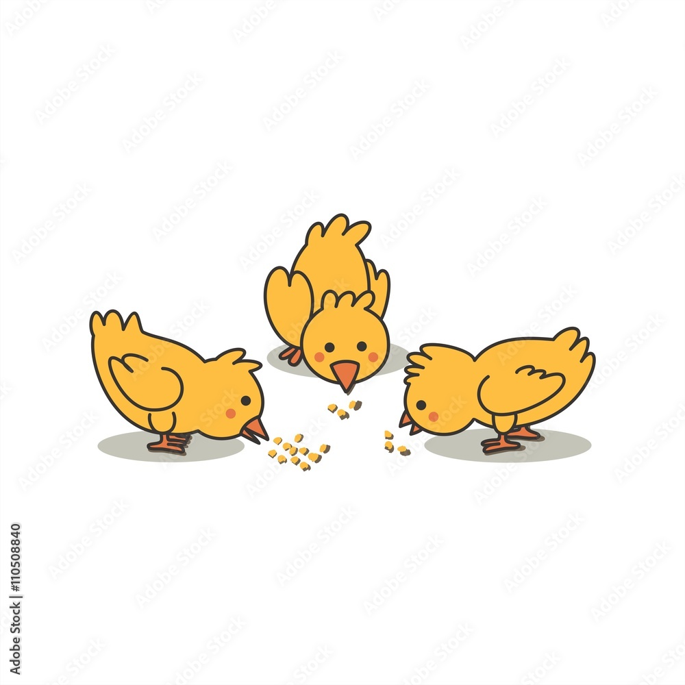 Pollitos comiendo maíz. Ilustración vectorial aislada