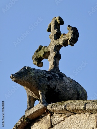 JABALÍ CON CRUZ EN LA iglesia de Santa María del Azogue, BETANZOS, GALICIA ,ESPAÑA photo