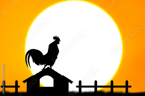 Roosters crow stand on housetop big sunset background