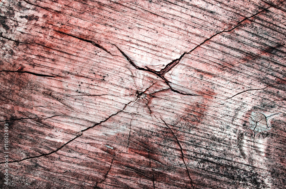 Wooden background. Cracks on the stump. Stump in the section. Red texture - obrazy, fototapety, plakaty 