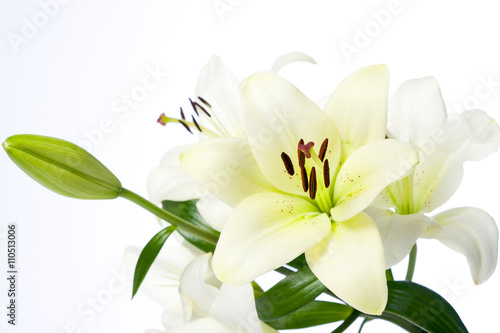 Fototapeta Naklejka Na Ścianę i Meble -  White Lilies and Bulb