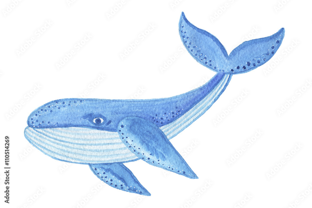 Watercolor blue whale object, cartoon style Watercolor blue whale object, cartoon style