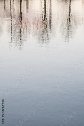 Bare trees at sunset, reflected in water