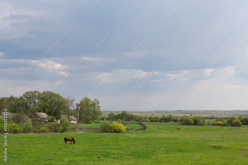 Fototapeta premium Storm Clouds and Park with Forest. Huge rainy cloud approaching. Dramatic sky