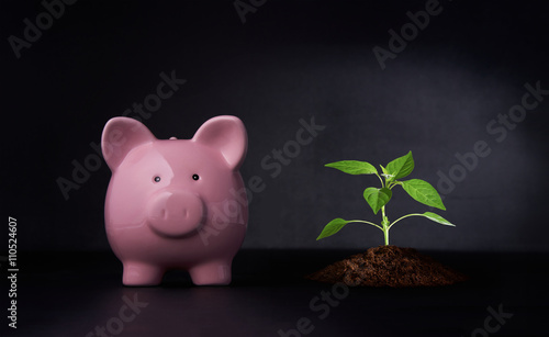Piggy Bank Savings Concept