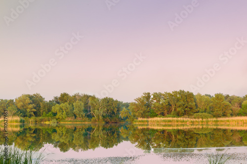 Forest landscape at the river at sunset