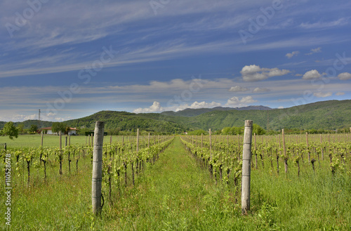 Spring Landscape Near Cividale del Friuli 
