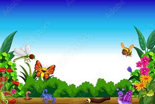 funny butterfly and insect with forest landscape background photo