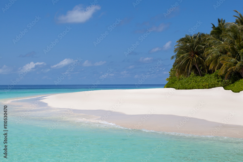 Maldives, beach with palm trees
