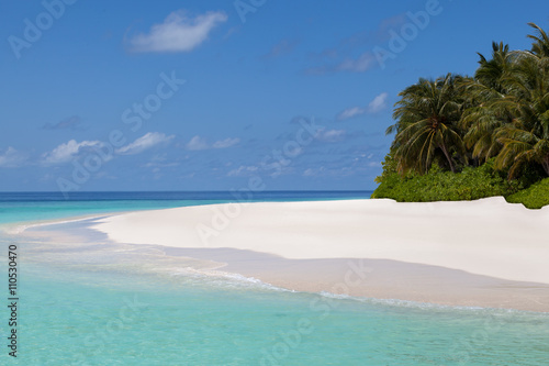Maldives, beach with palm trees 